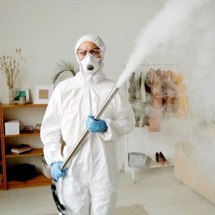 الشركة الألمانية لمكافحة الحشرات في سوهاج