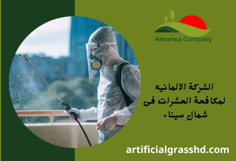 الشركة الالمانيه لمكافحة الحشرات فى شمال سيناء
