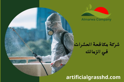 شركة مكافحة حشرات فى الزمالك