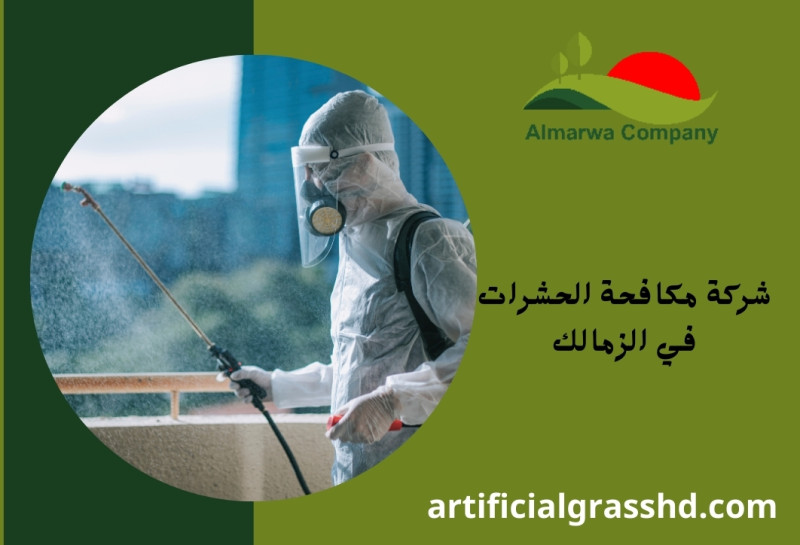 شركة مكافحة حشرات فى الزمالك