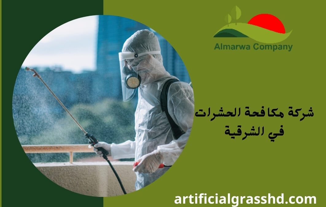 شركة مكافحة حشرات فى الشرقية