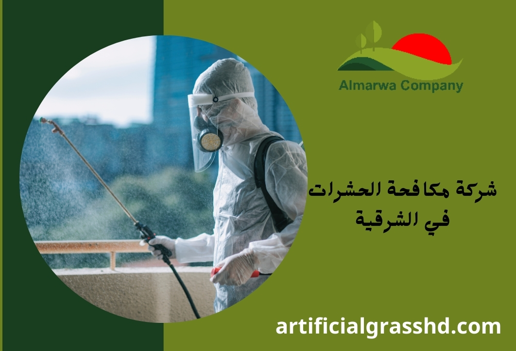 شركة مكافحة حشرات فى الشرقية