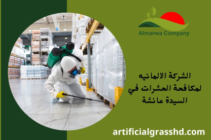 الشركة الالمانيه لمكافحة الحشرات في السيدة عائشة
