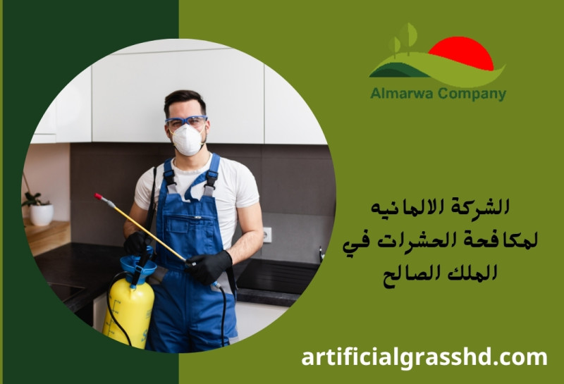 الشركة الالمانيه لمكافحة الحشرات في الملك الصالح