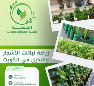 زراعة نباتات الأشجار والنخيل في الكويت