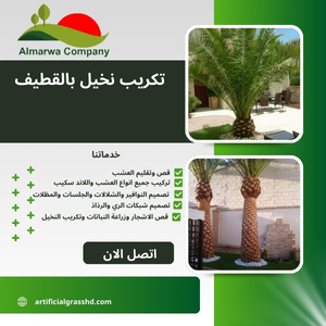 تكريب نخيل بالقطيف 0560431023