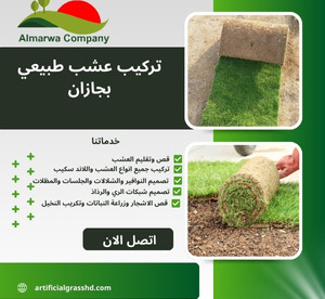 تركيب عشب طبيعي بجازان للايجار 01025284450