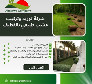 شركة توريد وتركيب عشب طبيعي بالقطيف