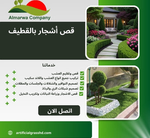 قص أشجار بالقطيف