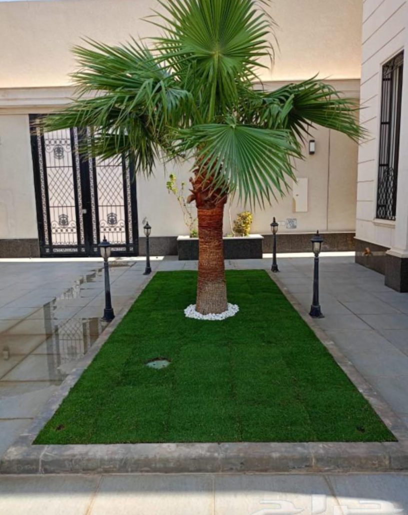 IMG 20251224 WA0084 816x1030