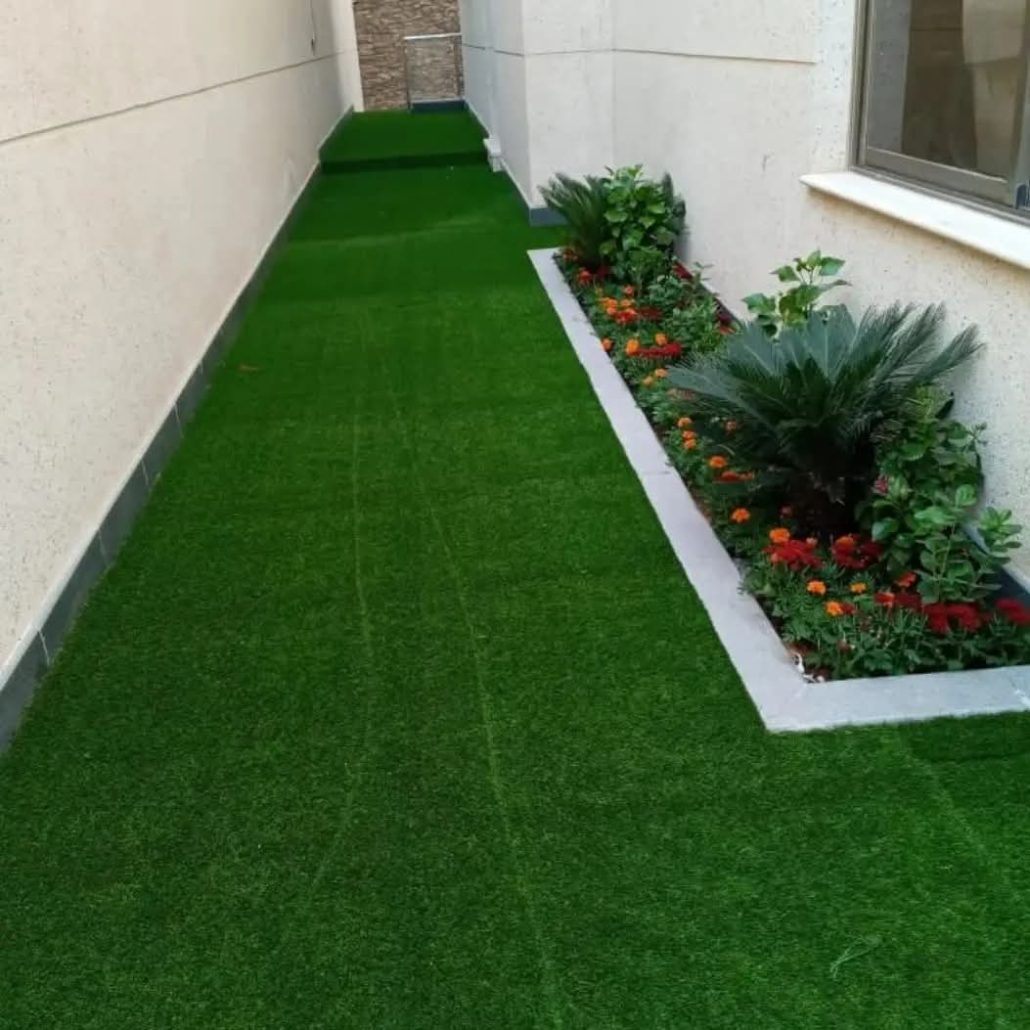 IMG 20251224 WA0089 1030x1030