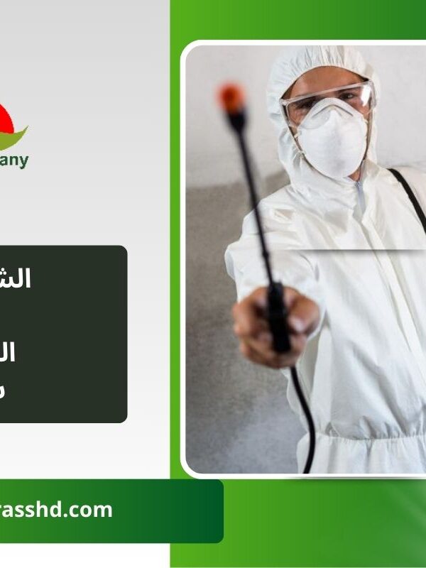 الشركة الالمانيه لمكافحة الحشرات في سراي القبه