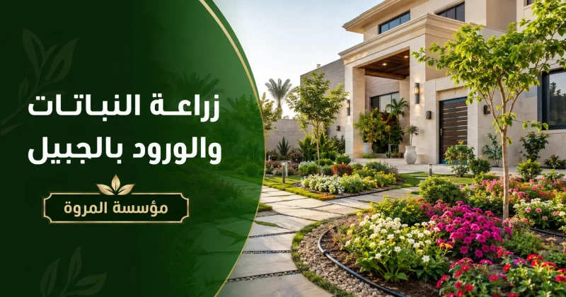 زراعة النباتات والورود بالجبيل 0549215226