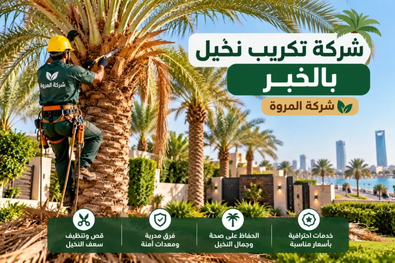 شركة تكريب نخيل بالخبر