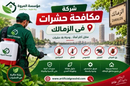 شركة مكافحة حشرات فى الزمالك