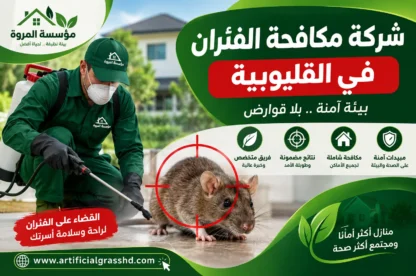 شركة مكافحة الفئران في القليوبية 01033160250