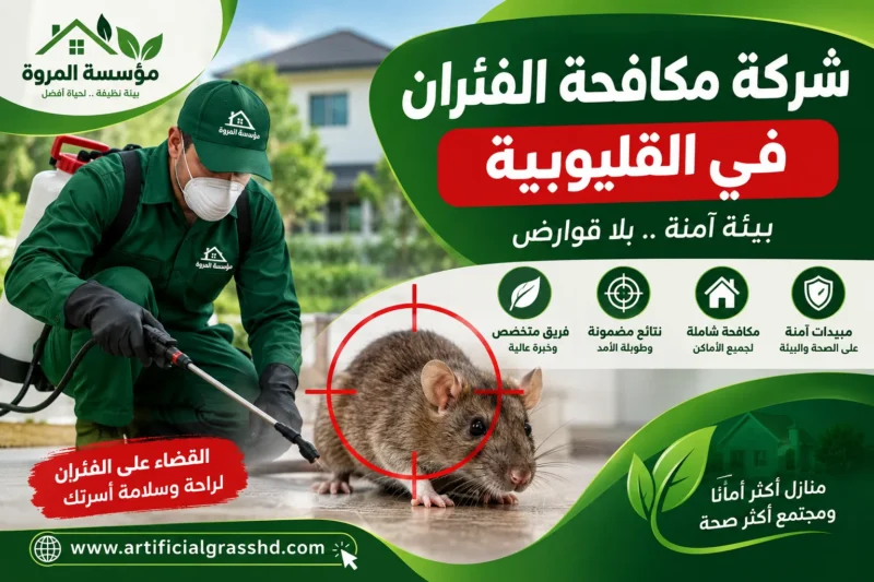 شركة مكافحة الفئران في القليوبية 01033160250