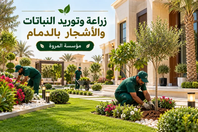 زراعة وتوريد النباتات والأشجار بالدمام