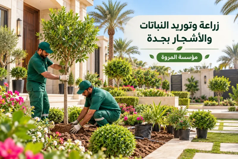 زراعة وتوريد النباتات والأشجار بجدة